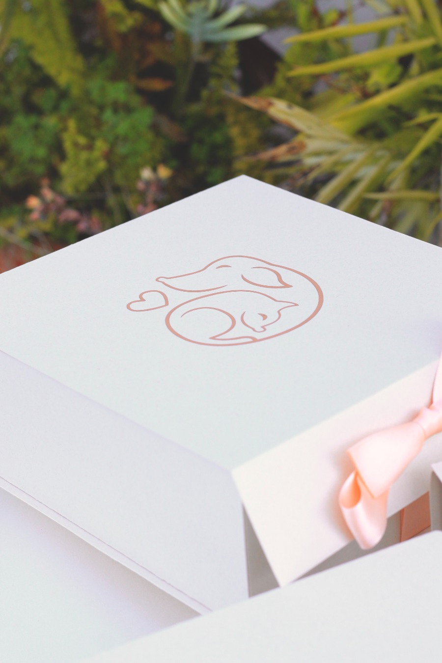 Kit Duelo Mascotas - Imagen 5