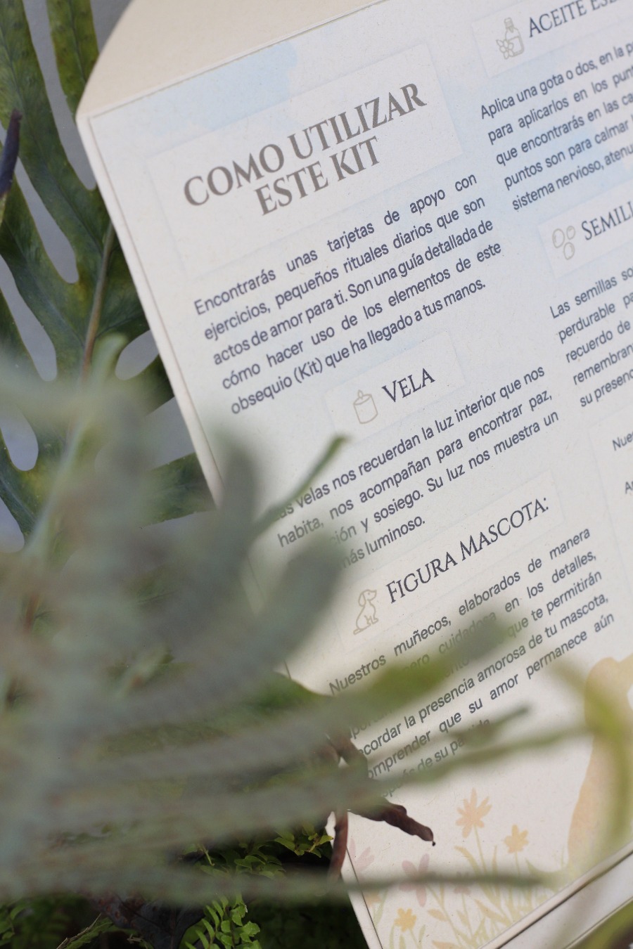 Kit Duelo Mascotas - Imagen 21